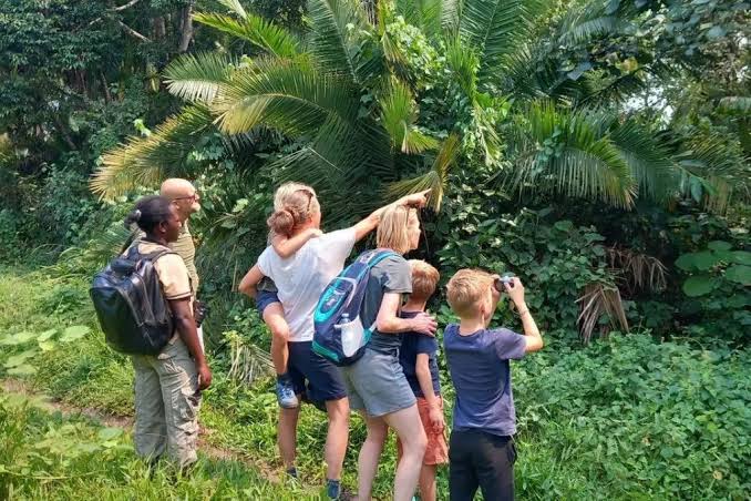 Family Tours in Uganda