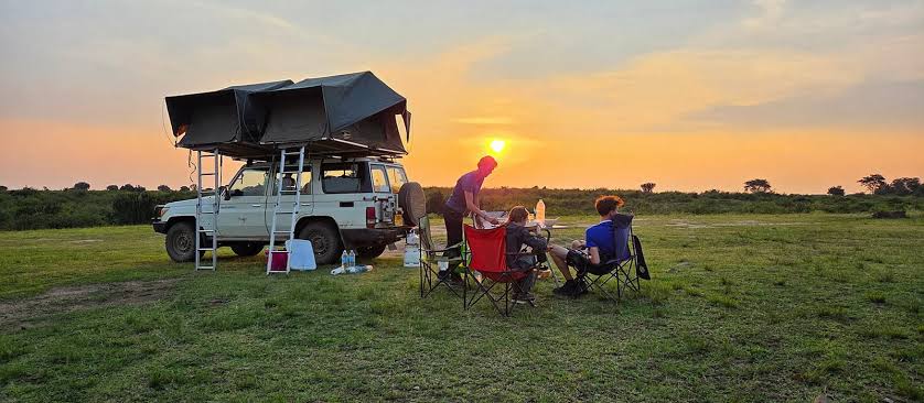 Self-Drive vs. Guided Safaris in East Africa