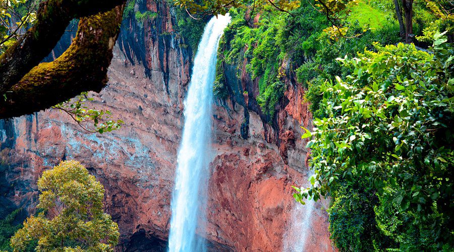 Mount Elgon National Park