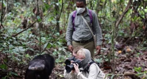Self-Drive vs. Guided Safaris in East Africa
