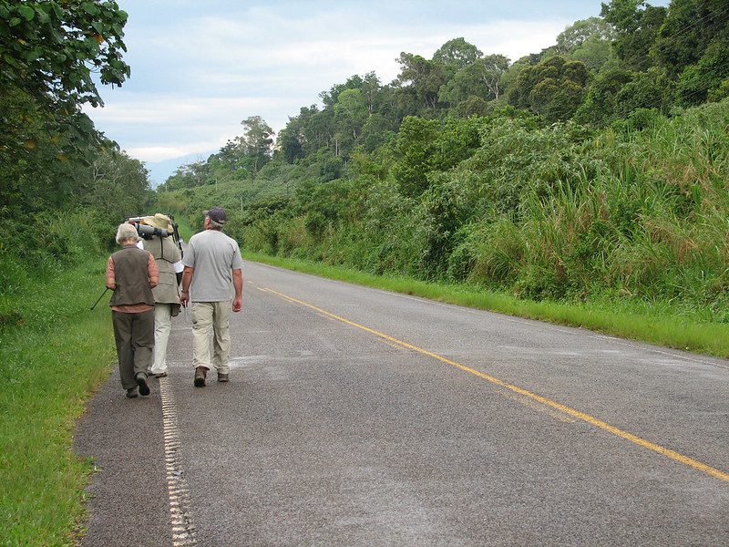 Kibale National Park