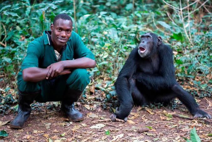 7 Days Uganda Honeymoon Safari