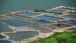 Katwe Salt Lake & Crater Lakes