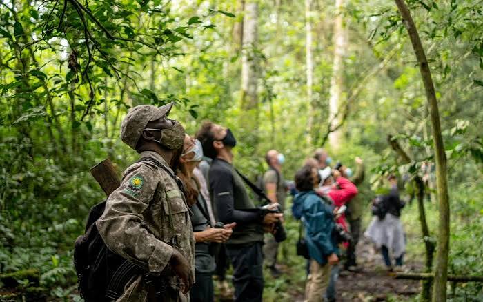 7 Days Luxury Uganda Primates Adventure