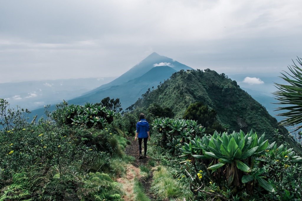 Mount Gahinga & Mount Sabyinyo