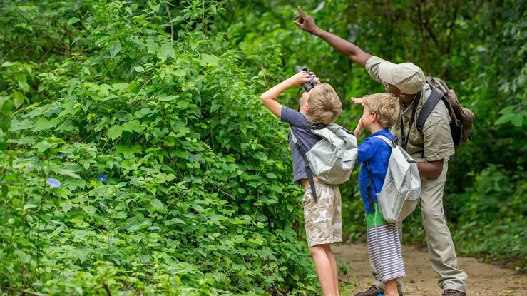 Guide to Family Safaris in Uganda