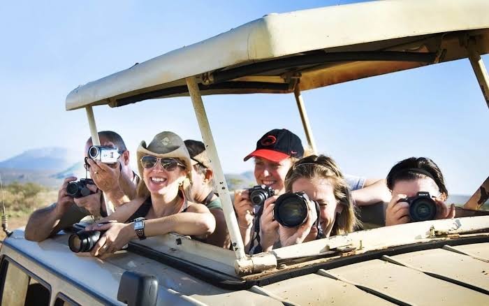 Private Safaris vs Group Tours in East Africa