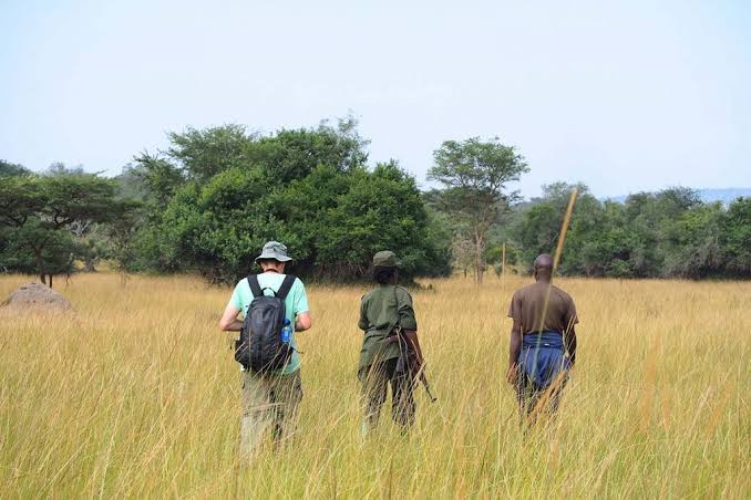 3 Days Lake Mburo Safari
