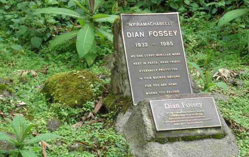 Dian Fossey Tomb Trail