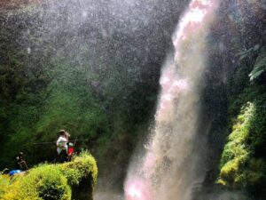Kamiranzovu Swamp