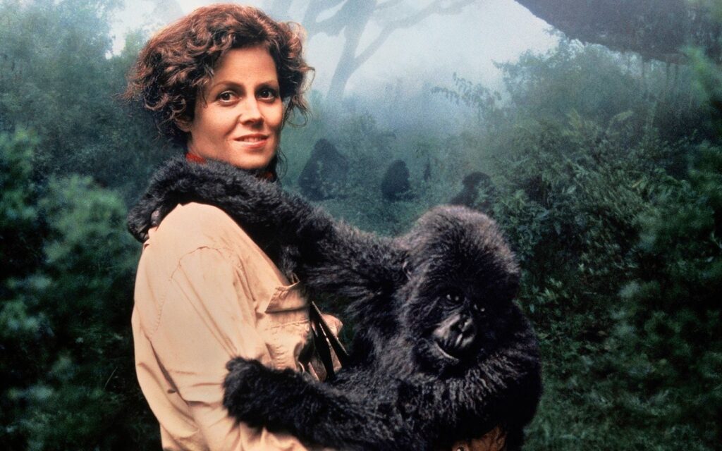 Dian Fossey Tomb Trail